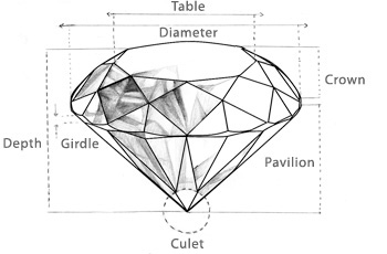 Education Diamond Anatomy