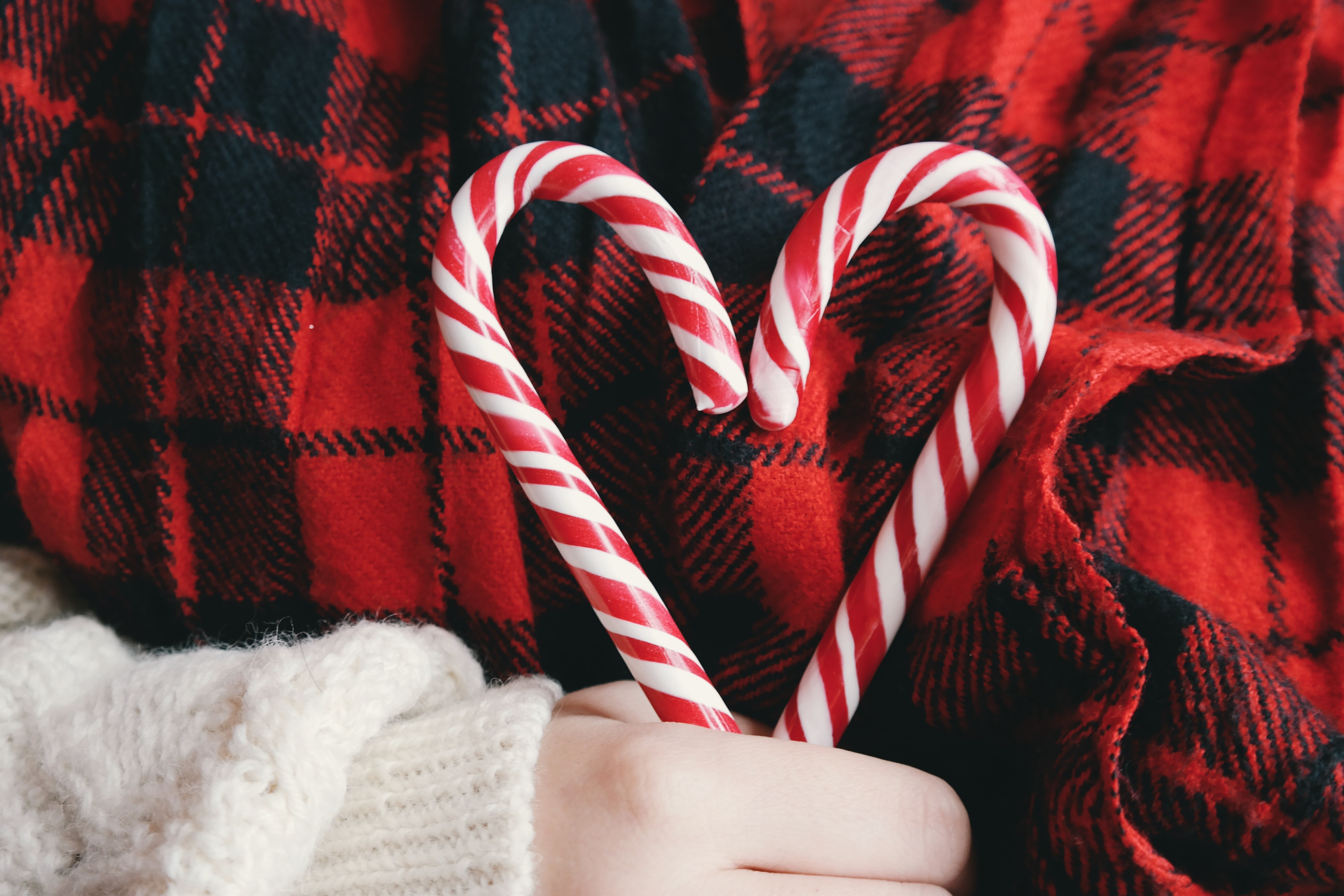 Heart created from two candy canes