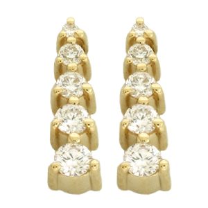 Journey Earring