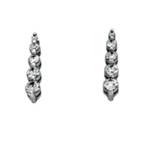 White Gold Journey Earring