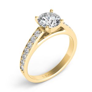 Engagement Ring Engagement Ring