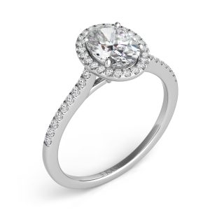 Palladium Halo Engagement Ring Palladium Halo Engagement Ring