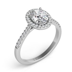 Palladium Halo Engagement Ring Palladium Halo Engagement Ring