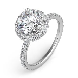 Platinum Halo Engagement Ring Platinum Halo Engagement Ring