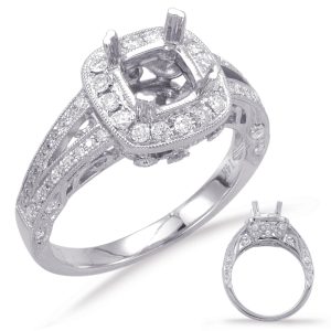 Paltinum Engagement Ring Paltinum Engagement Ring
