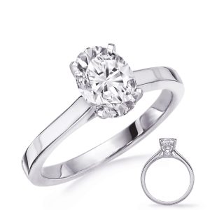 Platinum Engagement Ring Platinum Engagement Ring