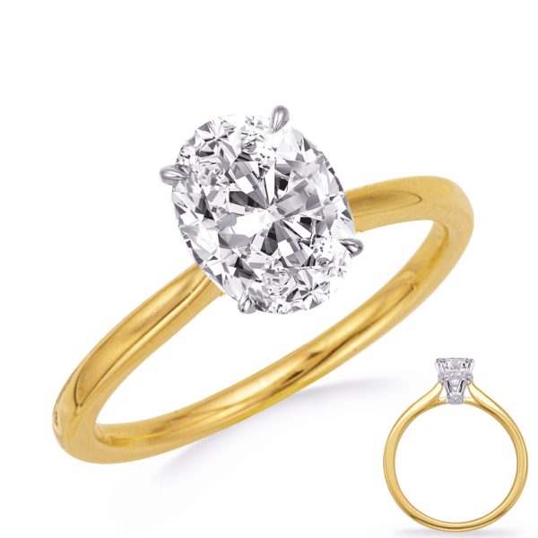 Round Diamond Engagement Ring