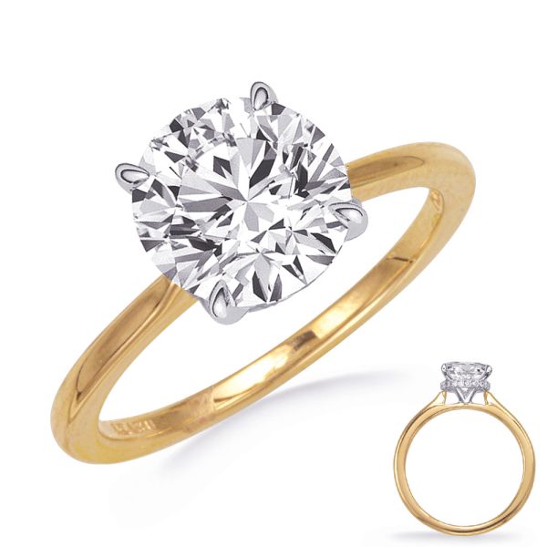 Round Diamond Engagement Ring